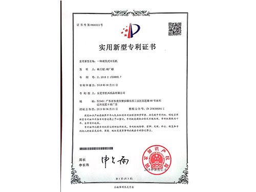 Patent description